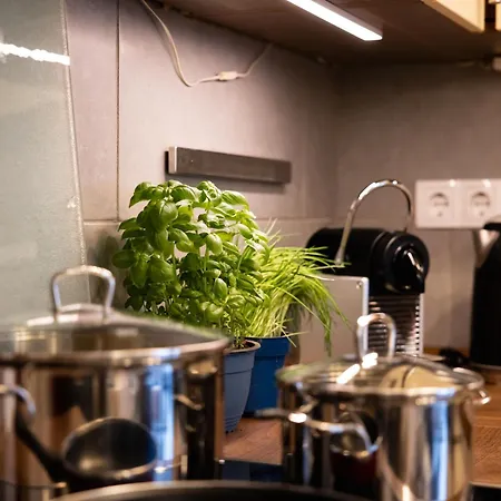 Grosse Schoene Ferienwohnung Mit Kleinem Garten Im Weinort Randersacker Extérieur photo
