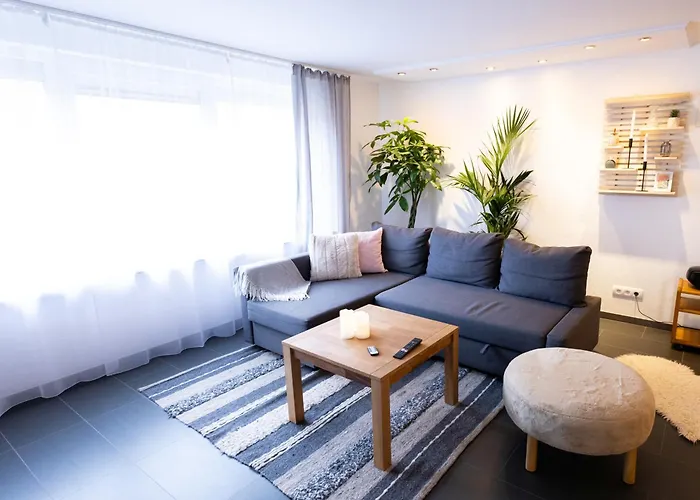Grosse Schoene Ferienwohnung Mit Kleinem Garten Im Weinort Randersacker